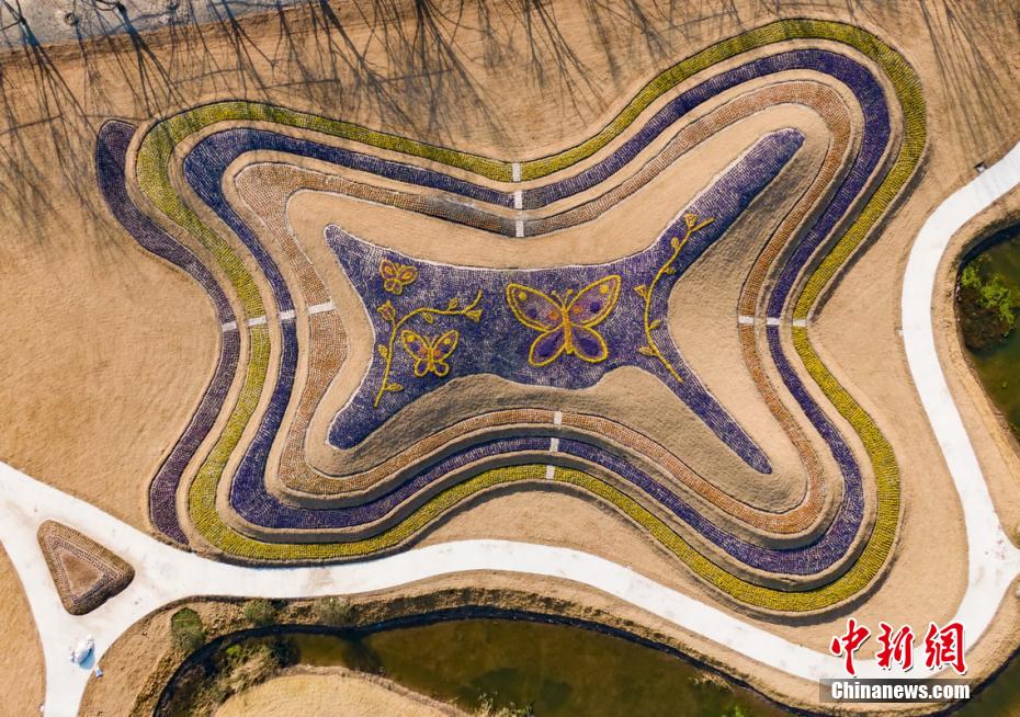 長江下流の中洲にある開沙島のカラフルな冬景色　江蘇省南通