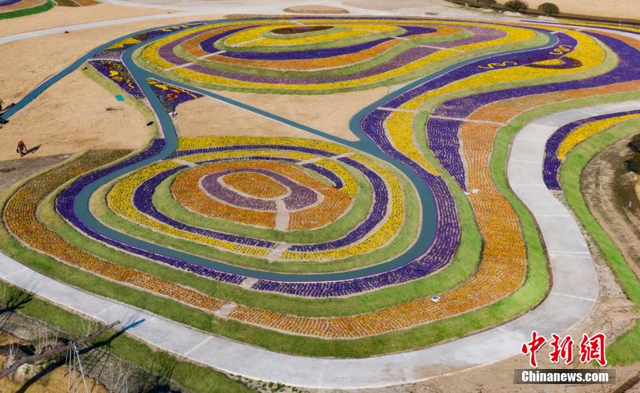 長(zhǎng)江下流の中洲にある開沙島のカラフルな冬景色　江蘇省南通