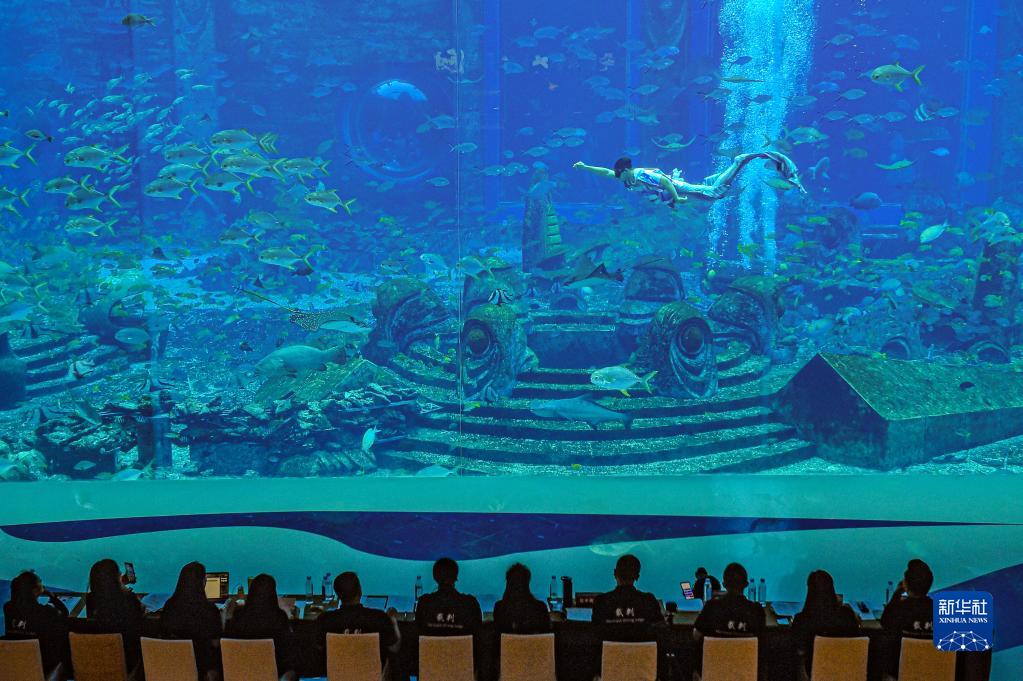 海南省三亜市のアトランティス三亜で行われた初の中國マーメイドスイムコンテストの様子（12月21日撮影?蒲暁旭）。