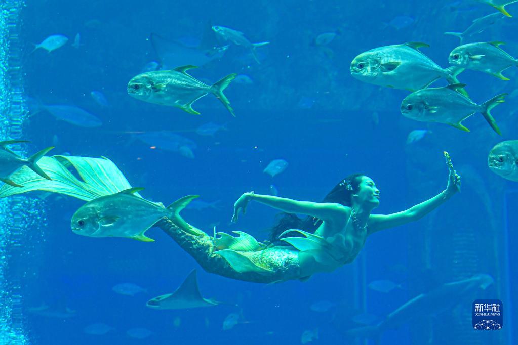 初の中國マーメイドスイムコンテストが海南省三亜で開催