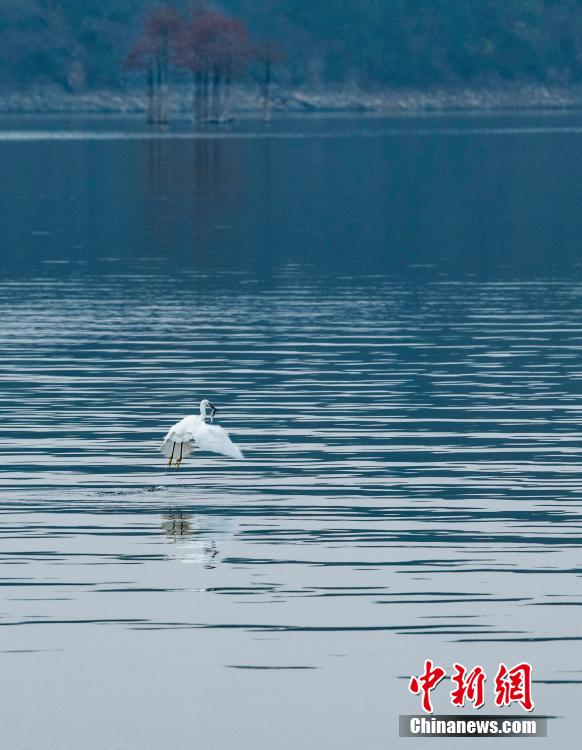 絵畫(huà)のような美しさたたえるダムの朝　浙江省金華