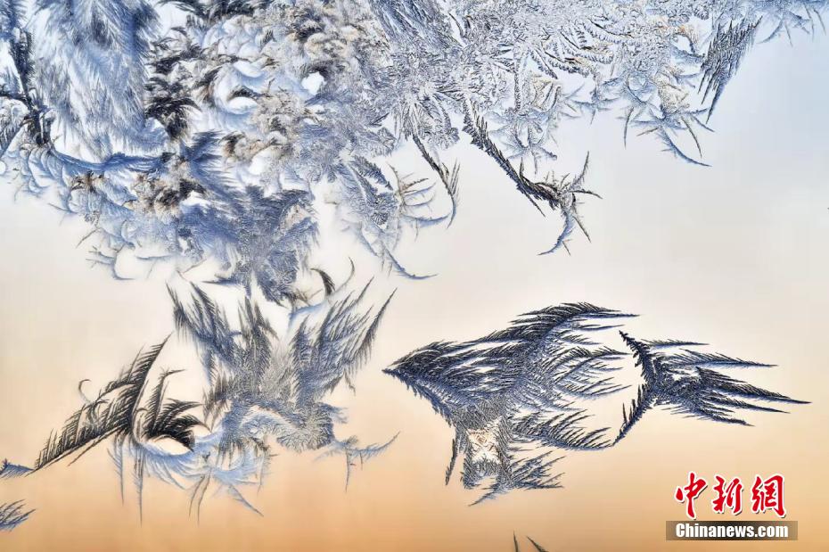 中國東北エリアで氷點下28度記録　窓には「世界に一つだけの氷花」