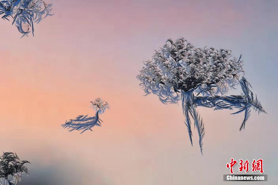 中國(guó)東北エリアで氷點(diǎn)下28度記録　窓には「世界に一つだけの氷花」