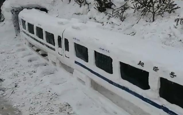 素人とは思えない？70代のおじいちゃんが作った全長7メートルの「大作」　黒竜江