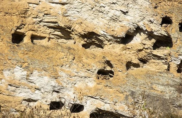湖北省巴東で極めて大きな規(guī)模の懸棺葬墓群見つかる