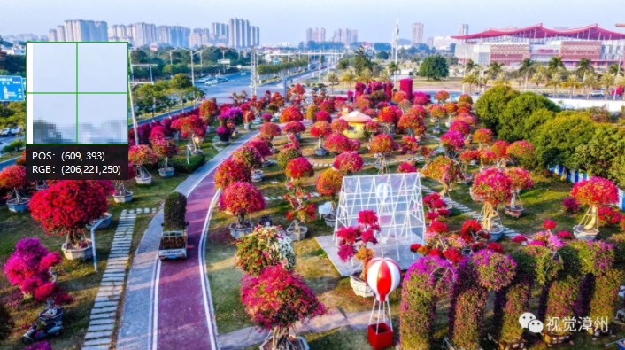 中國(guó)ブーゲンビリア文化生態(tài)展示園の一角（撮影?黃子君）。