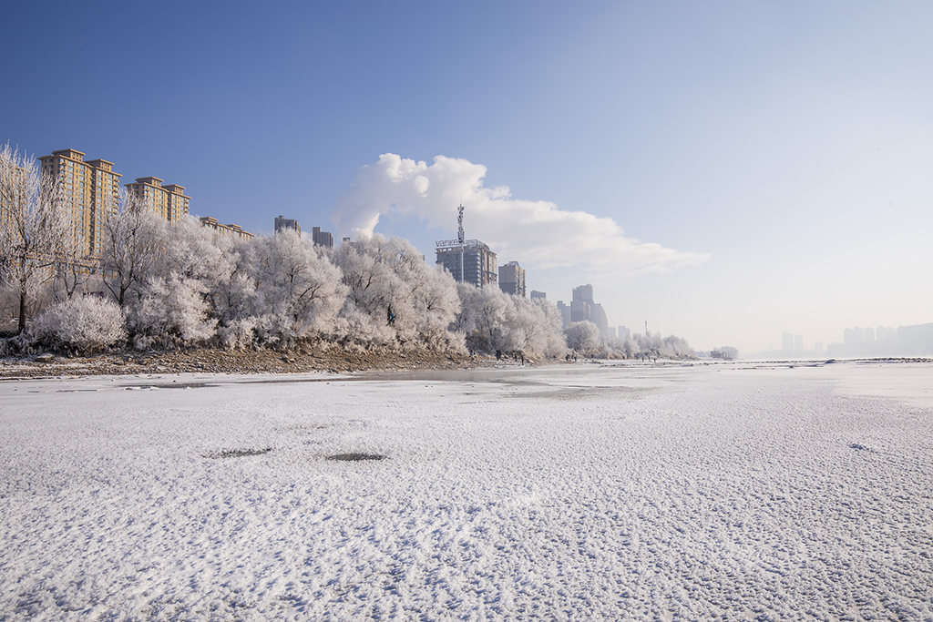 幻想的で美しい松花江河畔の霧氷　吉林省吉林市