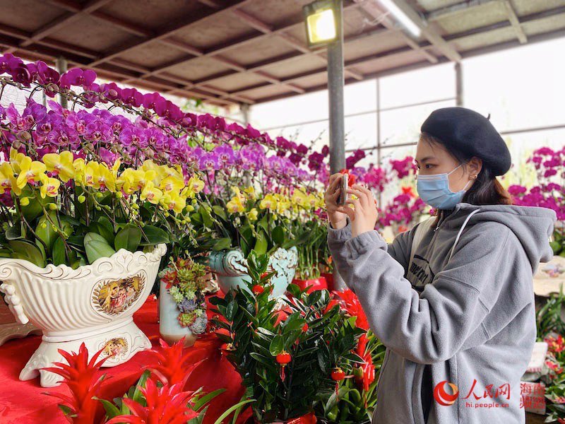 年越しムードが濃厚となり始めた新春花の市（撮影?李浩蓉）。