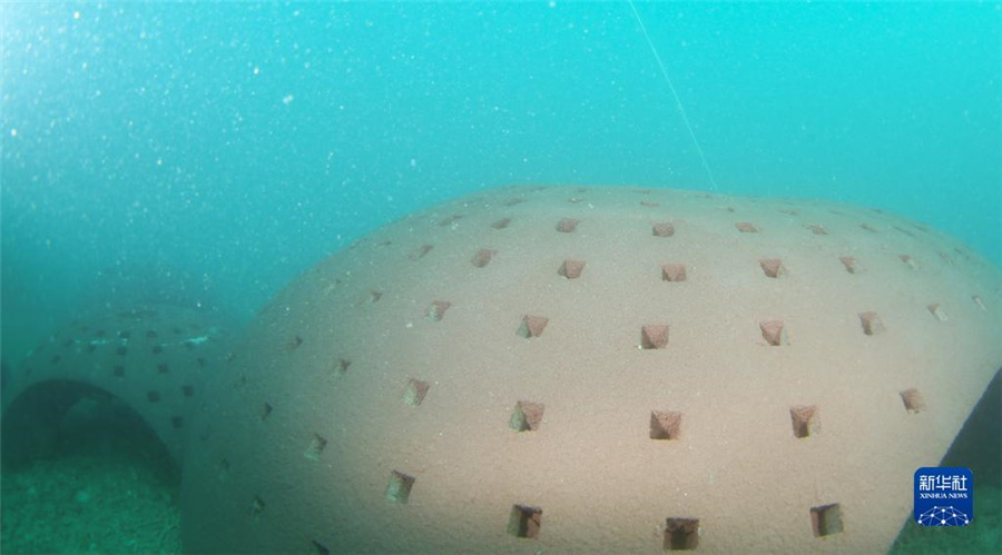 海南省三亜市、サンゴ礁の生態(tài)系修復(fù)を加速