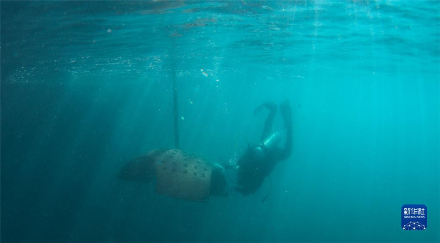 海南省三亜市、サンゴ礁の生態(tài)系修復(fù)を加速