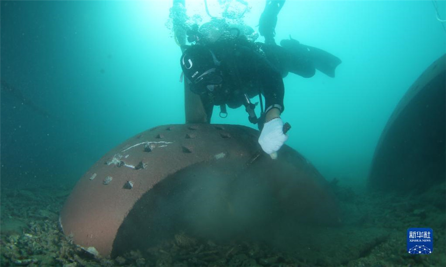 海南省三亜市、サンゴ礁の生態(tài)系修復(fù)を加速