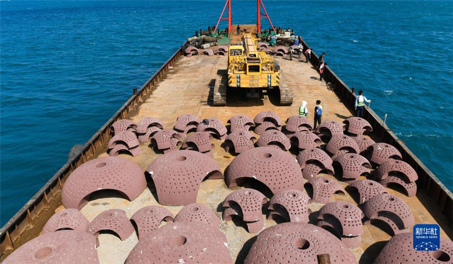 海南省三亜市、サンゴ礁の生態(tài)系修復を加速