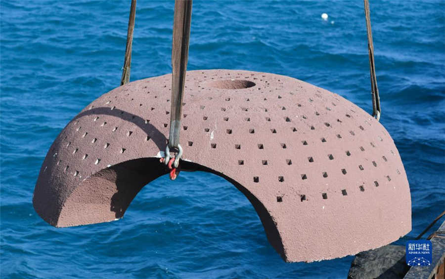 海南省三亜市、サンゴ礁の生態(tài)系修復(fù)を加速