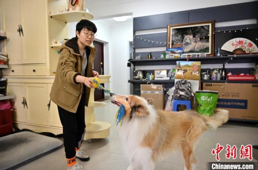 舊正月控え、各留守家庭に赴きペットの世話する「ペットシッター」　広西