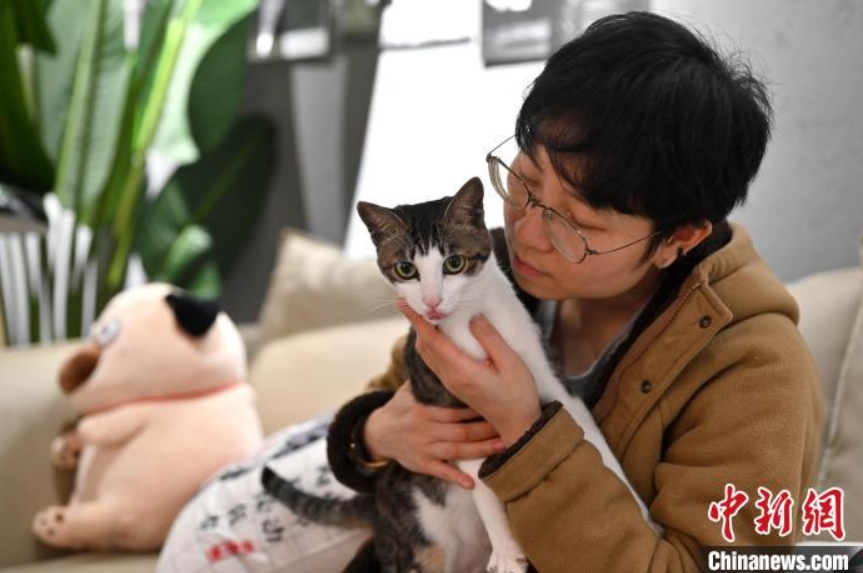 舊正月控え、各留守家庭に赴きペットの世話する「ペットシッター」　広西