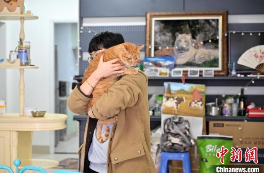 舊正月控え、各留守家庭に赴きペットの世話する「ペットシッター」　広西