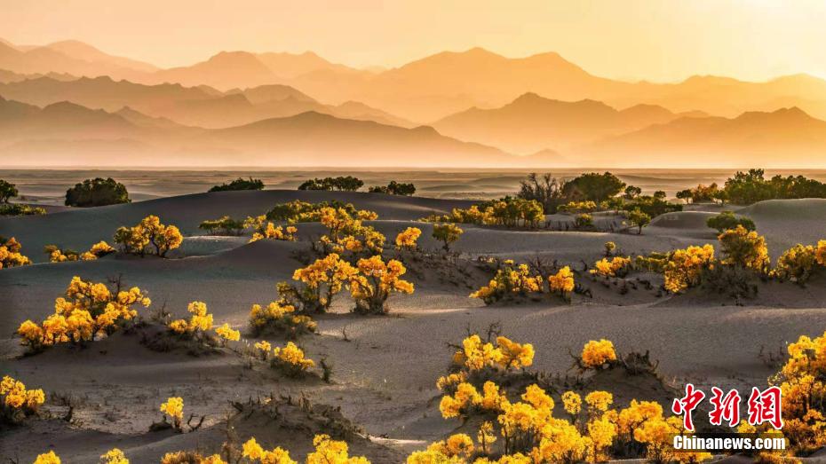 全部壁紙に使えちゃう！中國(guó)の絶景集めた「寶箱?ツァイダム盆地」