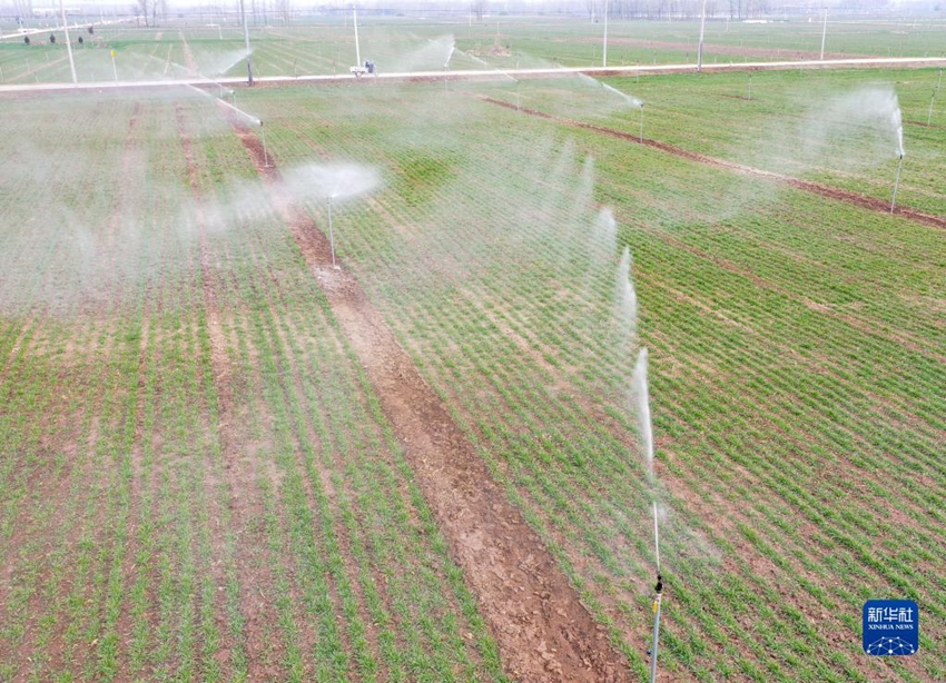 「無(wú)人農(nóng)場(chǎng)」　テクノロジーが支える春の耕作