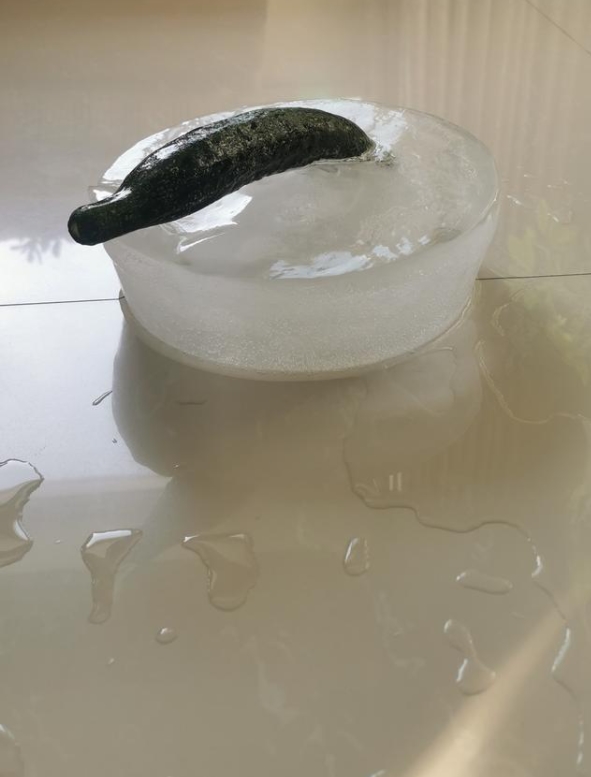 約55円で作った自作のカーリングストーンの材料は？　新疆