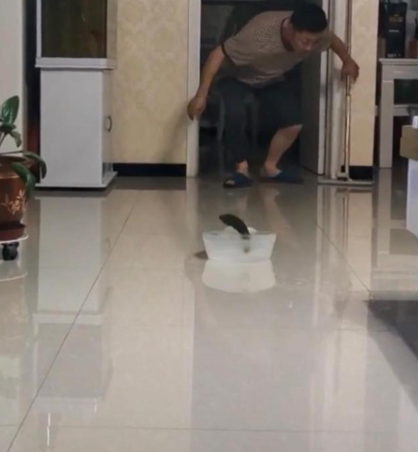 約55円で作った自作のカーリングストーンの材料は？　新疆