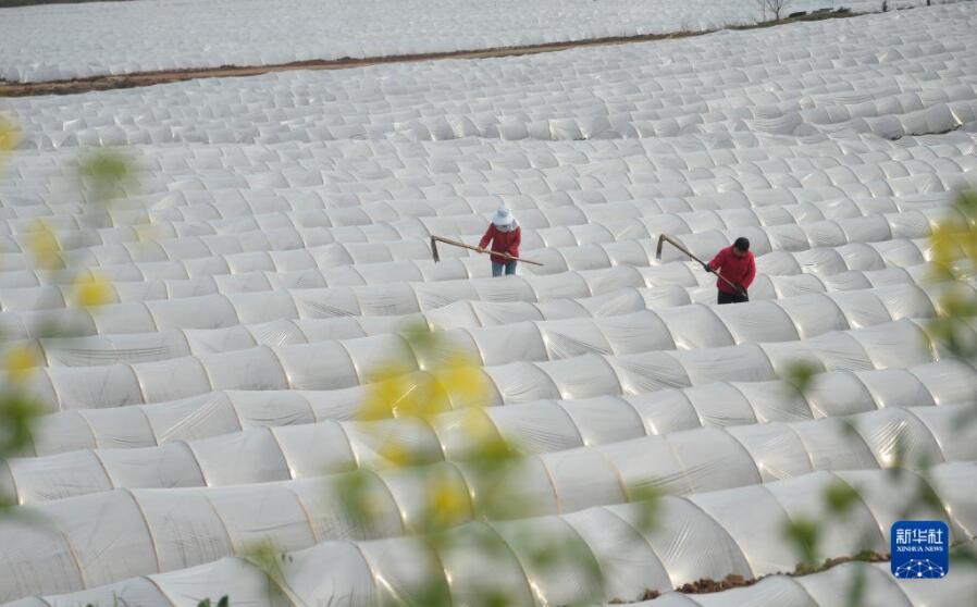 「春の耕作シーズン」到來　陸にも海にも