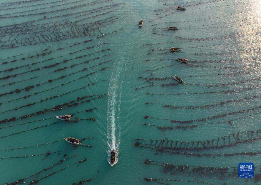 「春の耕作シーズン」到來　陸にも海にも