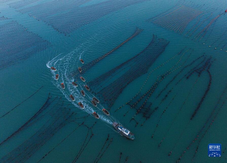 「春の耕作シーズン」到來　陸にも海にも