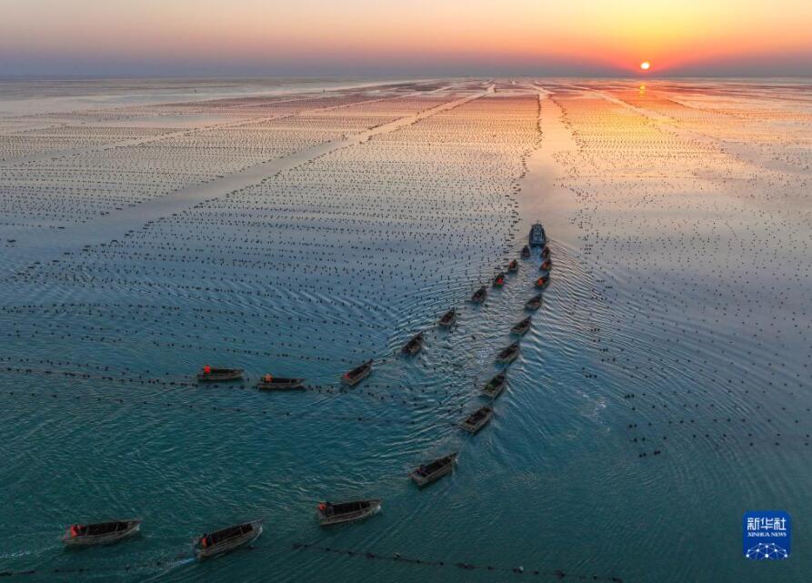 「春の耕作シーズン」到來　陸にも海にも