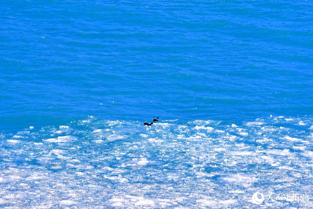 春が到來し、氷が融けたヤムドク湖　チベット