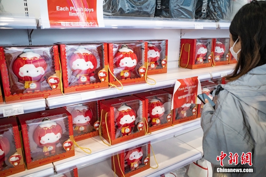 北京冬季パラ、開(kāi)幕　人気集める大會(huì)マスコット「シュエロンロン」グッズ