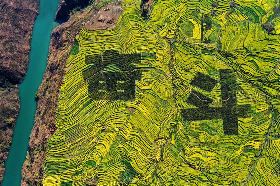 貴州省盤州市新民鎮(zhèn)の棚田に描き出された巨大な「奮闘」の2文字（寫真著作権はCFP視覚中國が所有のため転載禁止）。 