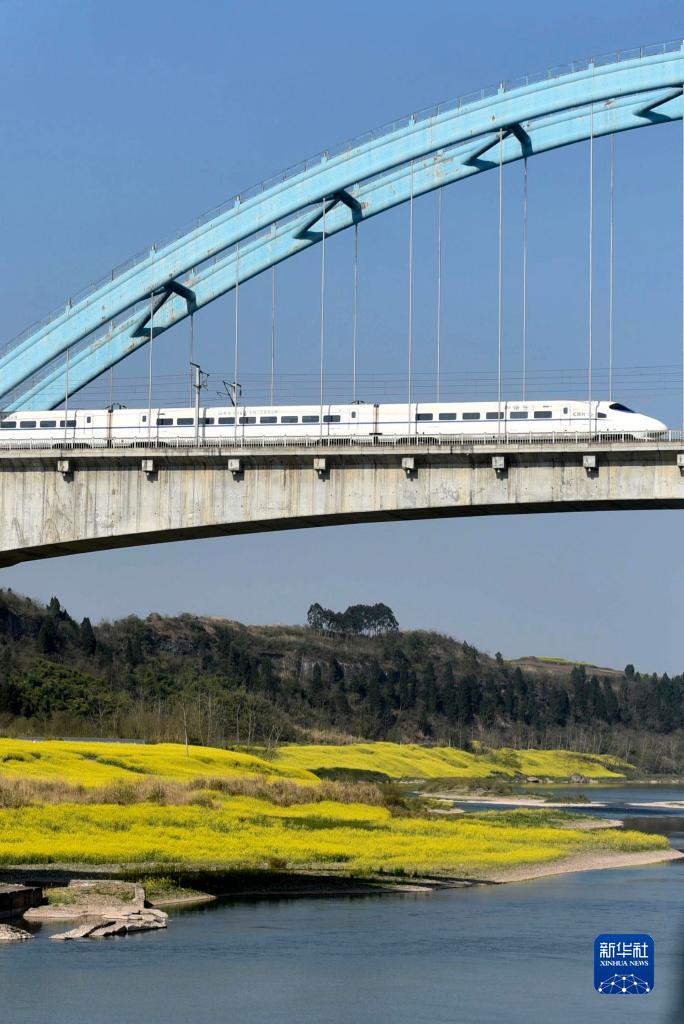 菜の花畑を走り抜ける高速鉄道列車　