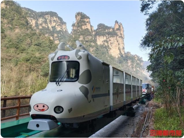 世界初の「十二支」観光電車(chē)が國(guó)際女性デーに張家界で運(yùn)行スタート　湖南省