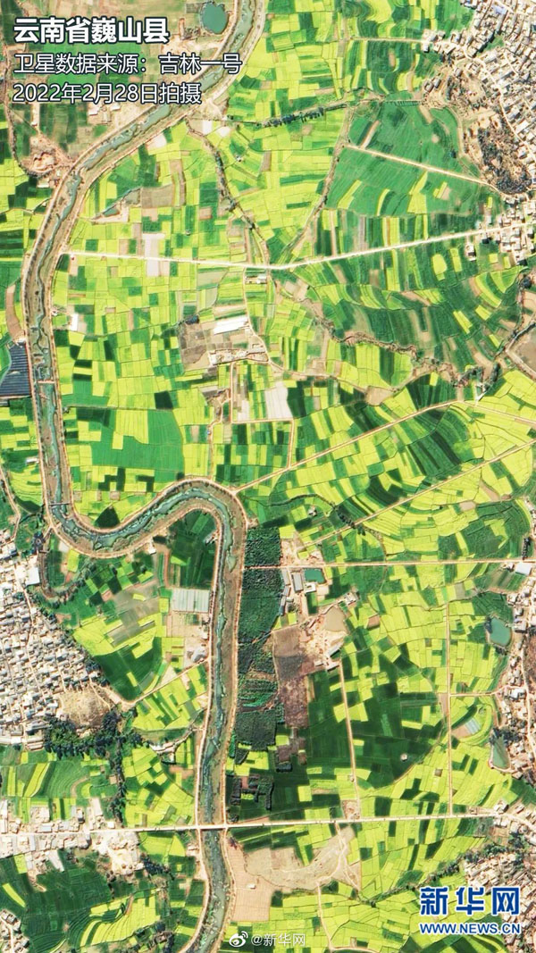 人工衛(wèi)星から捉えた春の美しい風景