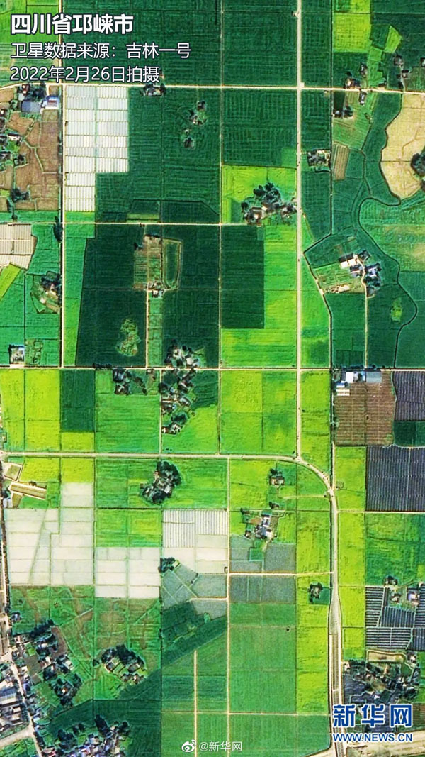 人工衛(wèi)星から捉えた春の美しい風景