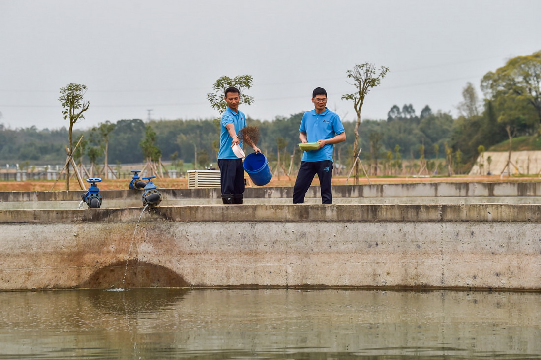 大藤峽水利ターミナルプロジェクト 魚道の設(shè)置で「生き返る」生態(tài)系　広西