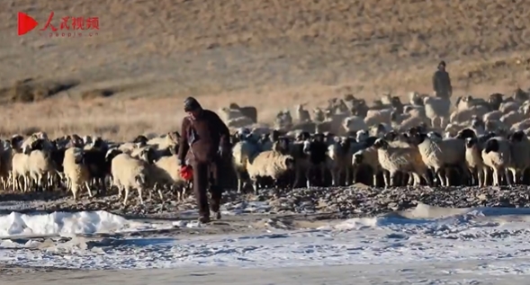 春の到來前にプマユムツォ湖の氷上を移動(dòng)する羊飼いたち　チベット