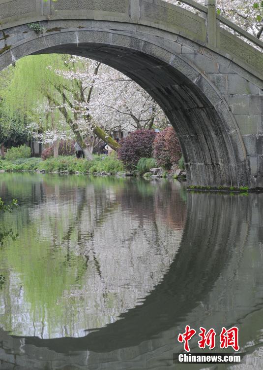 観賞のベストシーズンを迎えた西湖の桜　浙江省杭州