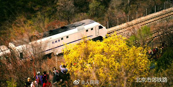「春に向かう列車」S2線が22日より1日7往復(fù)運(yùn)行へ　北京市