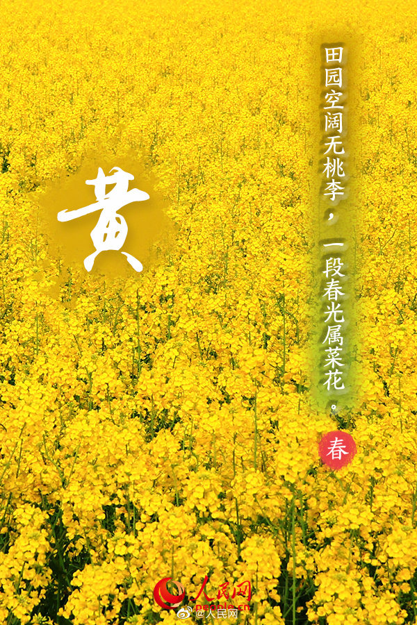 多彩な色で開ける「春」の扉