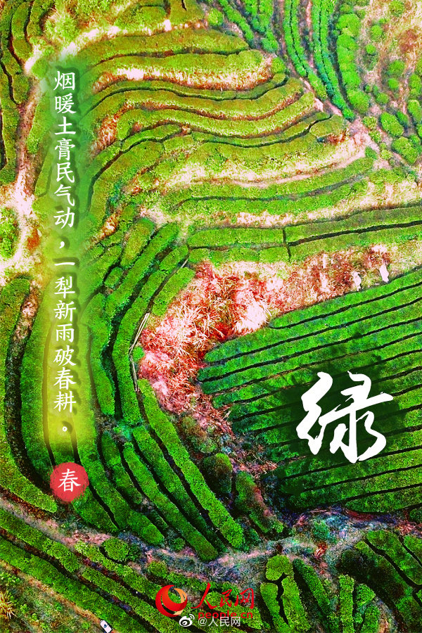 多彩な色で開(kāi)ける「春」の扉