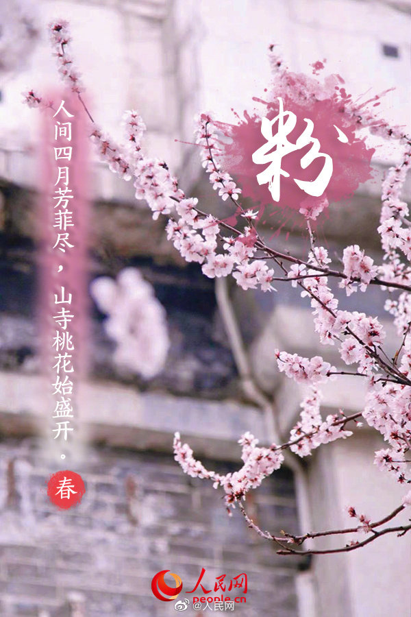 多彩な色で開(kāi)ける「春」の扉