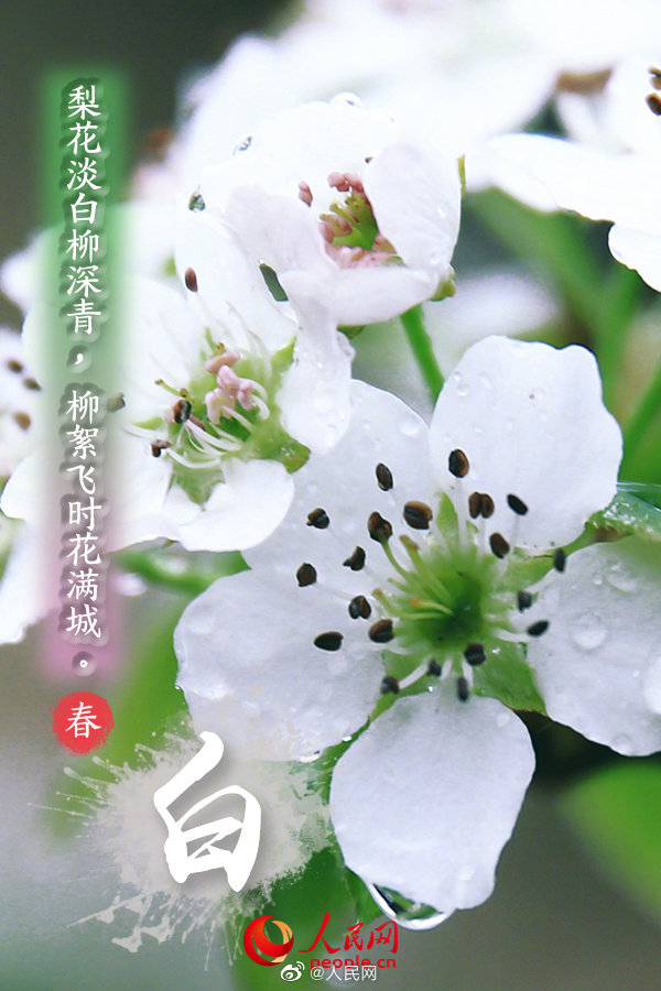 多彩な色で開ける「春」の扉