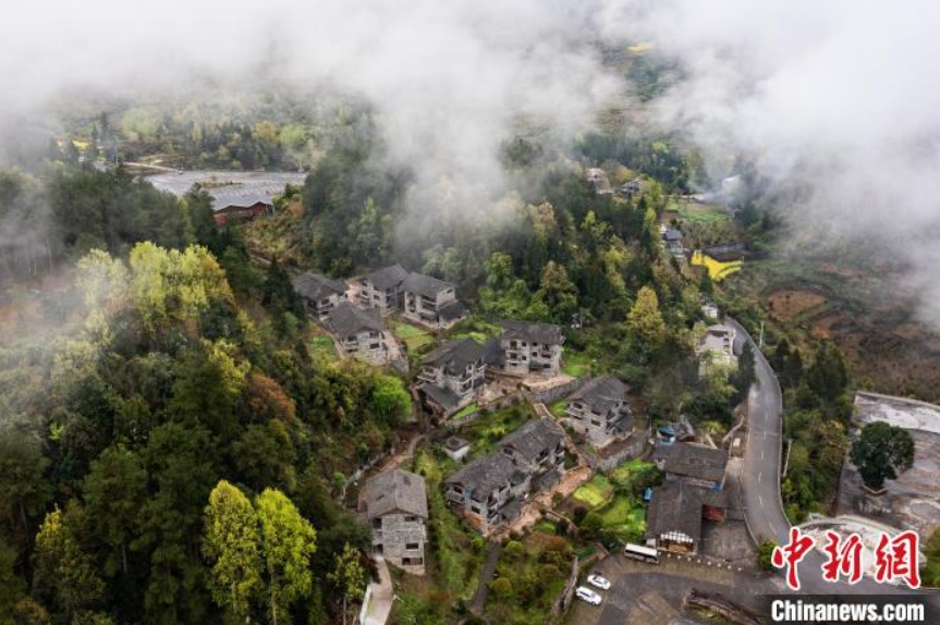 上空から撮影した重慶市酉陽土家（トゥチャ）族苗（ミャオ）族自治県両罾郷內(nèi)口村。特徴的な巴渝民宿が秩序良く點(diǎn)在し、クスノキの古樹との美しいコントラストを構(gòu)成（撮影?何蓬磊）。