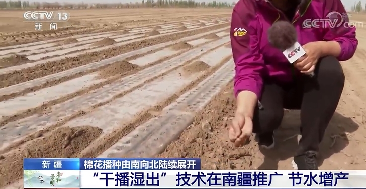 新疆における綿花栽培の機械化が98％以上に