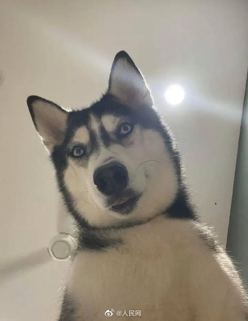 自撮りで生じる顔のゆがみが美容整形のきっかけに？