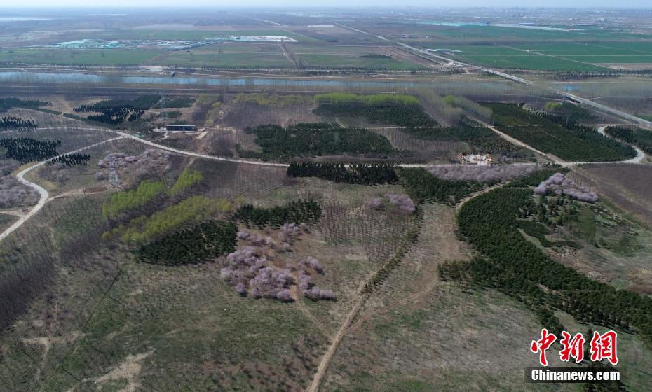 若者の「未來都市」への定住促す「スマート遺伝子」　雄安新區(qū)