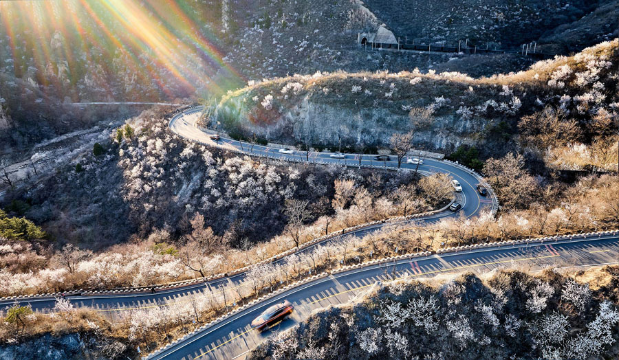 4月5日、北京郊外の「最も美しい道路」昌赤路を走るドライブ旅行を楽しむ自家用車（寫真著作権はCFP視覚中國が所有のため転載禁止）。