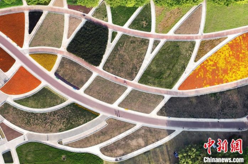 花々が咲き誇りメルヘンチックな景色広がる南京中國緑化博覧園　江蘇省