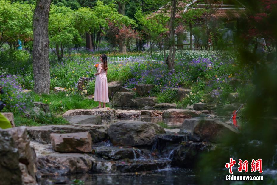 満開を迎えた紫金山の花々　江蘇省南京